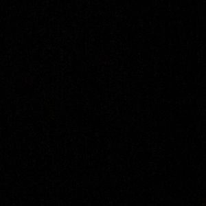 Meet your Posher, Shaun